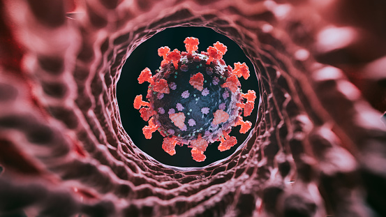  COVID-19 prolongado pode ser causado ​​por um sistema imunológico suprimido, sugere pesquisa