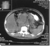 clip_image017_thumb