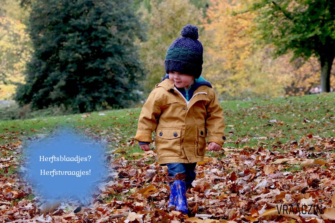 Vragen over de herfst