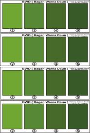 All about GREEN macam macam warna hijau 