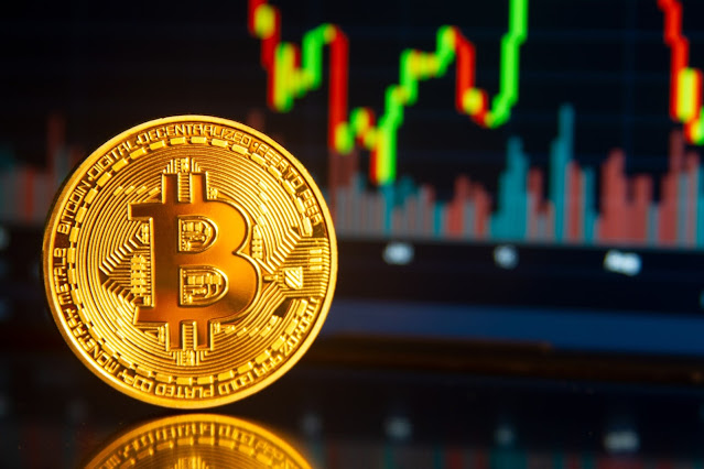 Should You Invest In Stocks Or Bitcoin?