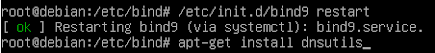 Install dan Konfigurasi DNS Server di Debian 10