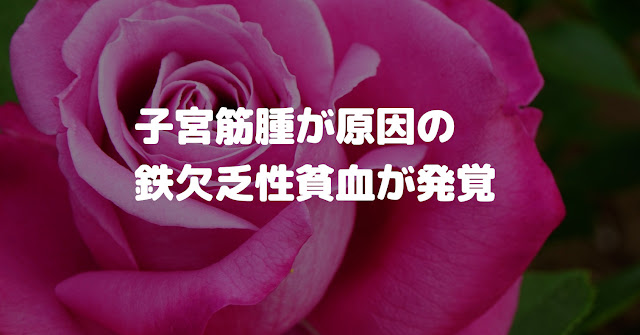 子宮筋腫（筋腫分娩）による鉄欠乏症貧血 | No.8