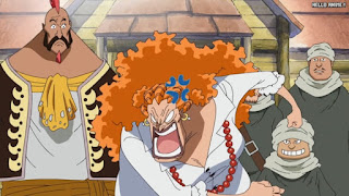 ワンピースアニメ 497話 幼少期 | ONE PIECE Episode 497 ASL