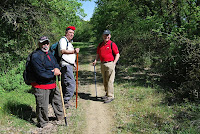 Caminada de les Guilleries 2010