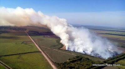 Tabacal denunció incendios