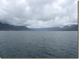 IMG_3599_1