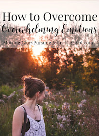 Surrender Emotions Savannah Morello