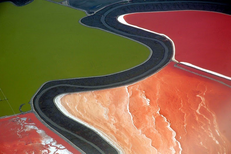 Tasik Berwarna-Warni di San Francisco Bay