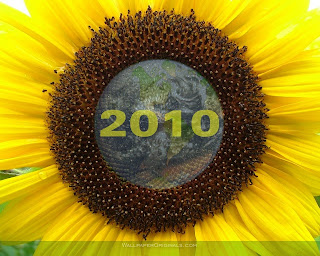 New Year 2010 Sunflower Desktop Wallpaper