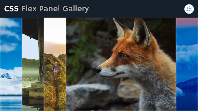 How to Create Flex Panel Gallery using HTML CSS & JavaScript | TechSheet | Code with Rahi