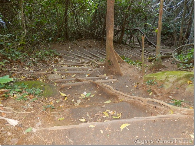 Pao de Acucar 037