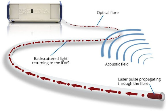Distributed Fiber Optic Sensor Market