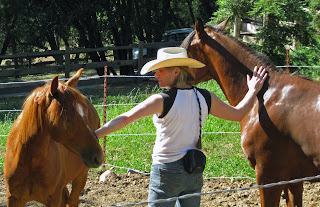 Jess and two Slide colts