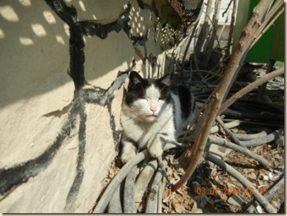 Hidey2