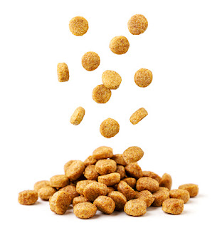 Pet Food Market Report