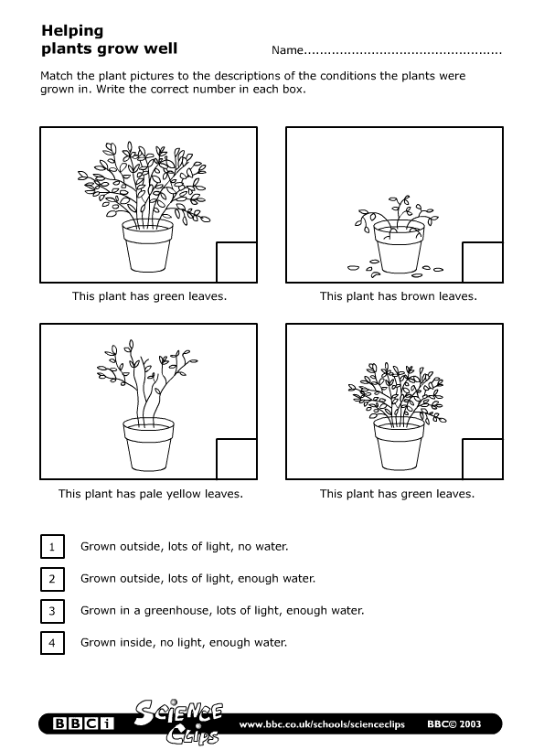 science year 2 worksheets