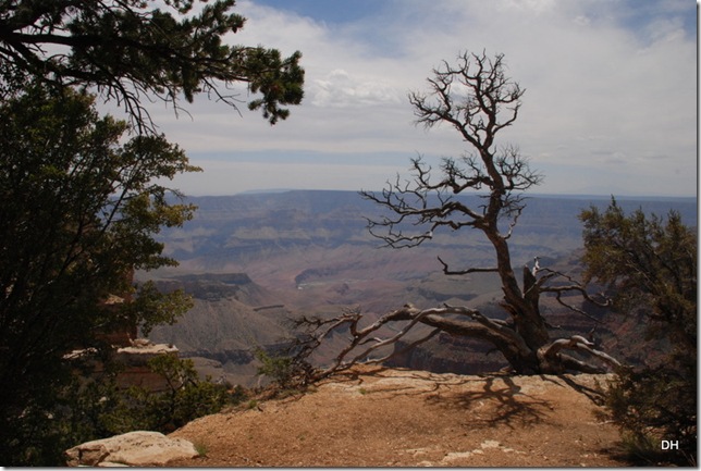 05-17-13 B Grand Canyon North Rim Drive (130)