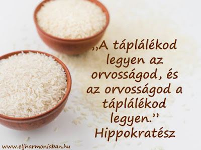 #egészség #hippokratész #idézet #egészségmegőrzés #mértékletesség #természet #gyógyítás #táplálkozás #étrend #természetgyógyászat #idézet #gyógyszer 