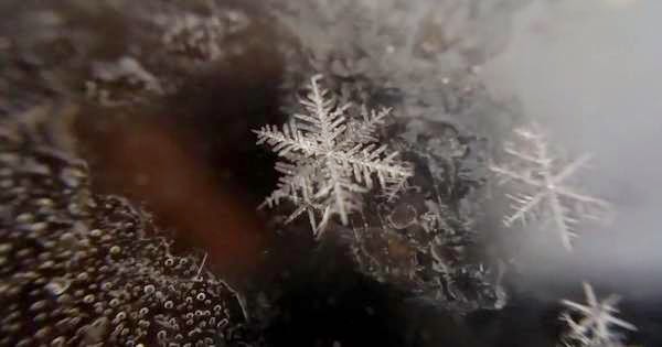 Witness The Beautiful Birth Of A Unique Snowflake In This Amazing Video