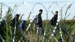 NGO Slams EU For Attempt To Suspend Own Asylum Procedures To Curb Migration