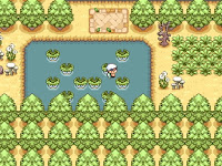 Pokemon Split Screenshot 03