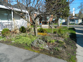 Birch Cliff Toronto spring garden clean up before by Paul Jung Gardening Services