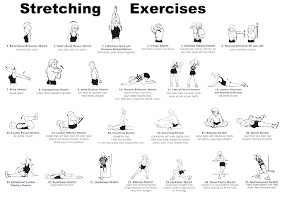 Whole Body   Stretching Exercises