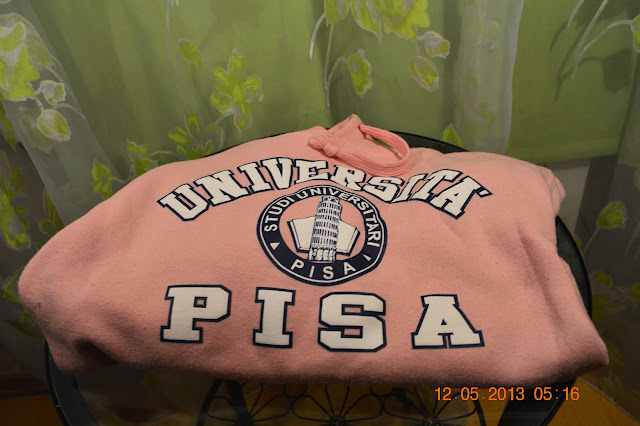 Sweatshirt, Pink, Italy, Pisa, Comfy, Memory