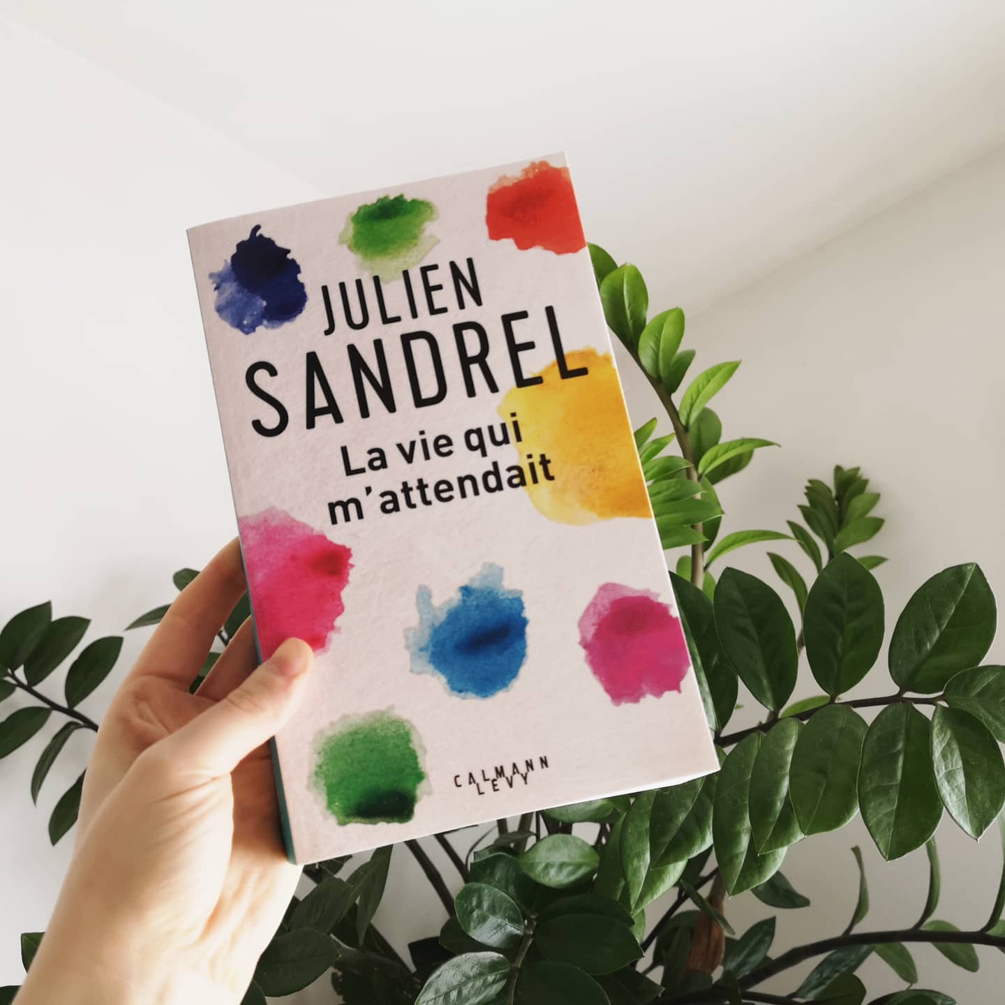 La vie qui m'attendait de Julien Sandrel