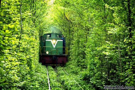 Tunnel of Love, Ukraine