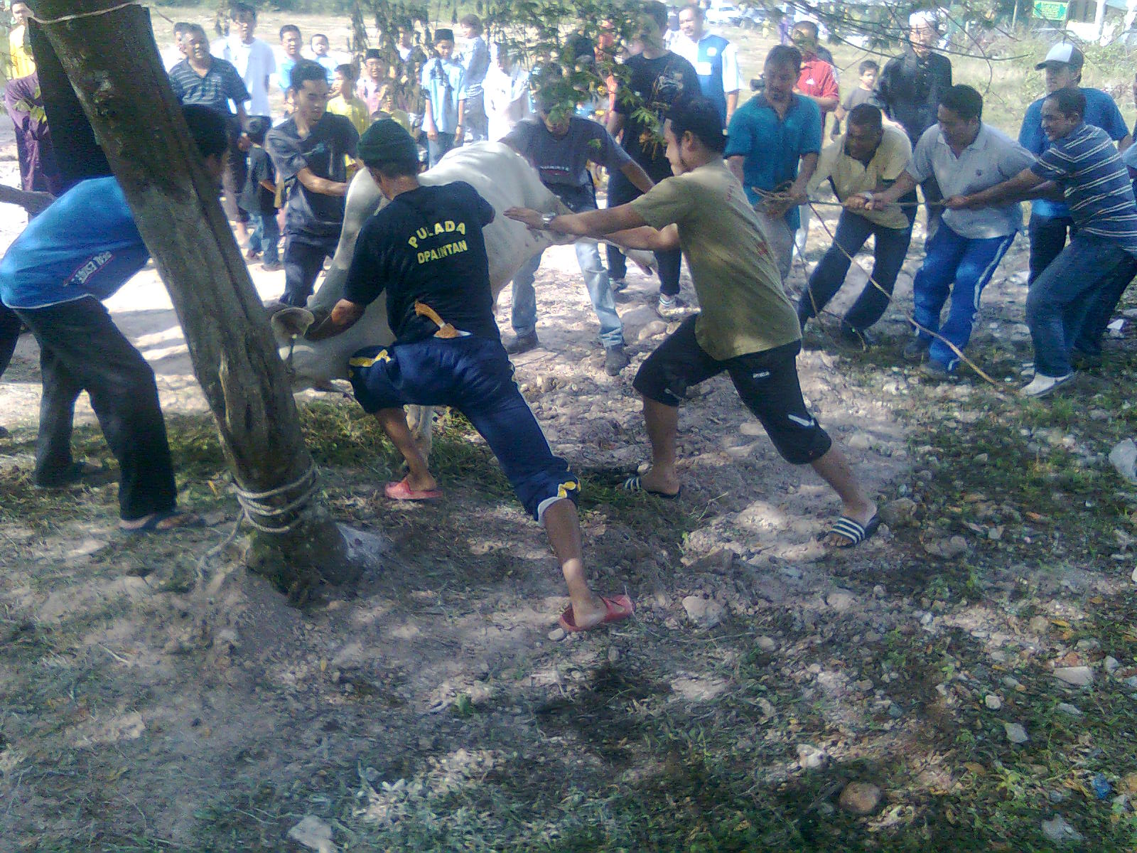 Penduduk Taman Tasik Bangi 3: Sekitar IdulAdha dan Majlis 