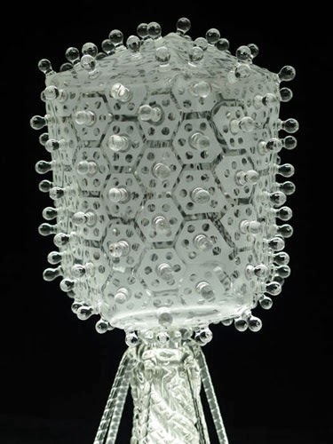 Luke Jerram glass microbiology esculturas vidro microbios virus bactérias arte ciência doenças