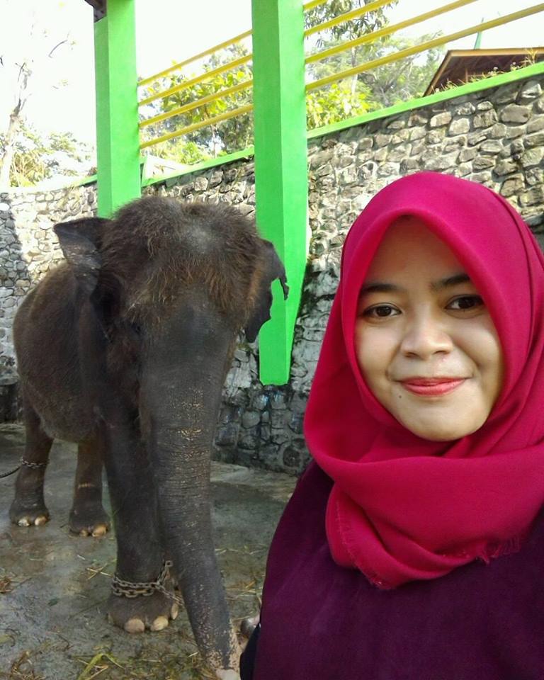 drh Esthi Octavia Wara Hapsari dokter via Selfie bareng gajah Berujung maut