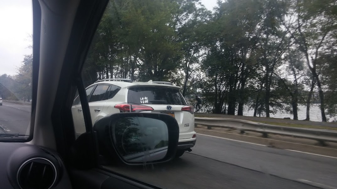 水曜どうでしょう In ニューヨーク Road In New York