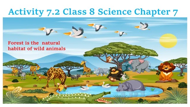 Activity  Class 8 Science Chapter 7 Solution - REMEDIAL CLASSES