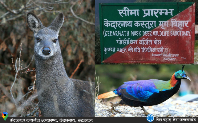 Kedarnath Wildlife Sanctuary, Rudraprayag