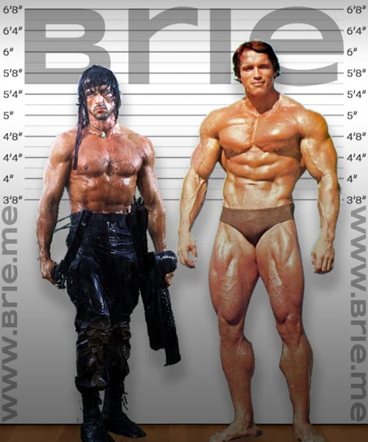 Sylvester Stallone height comparison with Arnold Schwarzenegger