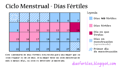 dias fertiles ciclo