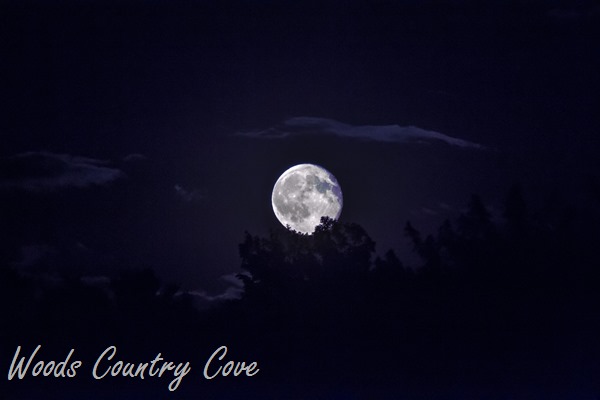 AUGUST 2015 (3 of 5)