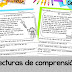 Unlock Lectura de Comprensión: Dive into Spanish Reading Comprehension with 4 Free Printable Passages - Get Them Now!