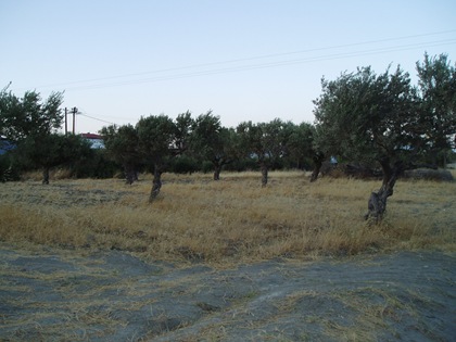 Karpathos 054