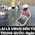 Nóng: Cảnh báo virus mới từ tôm Trung Quốc vào Việt Nam