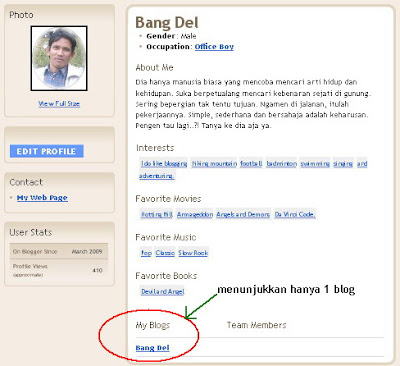 bangdel_blogger_profile