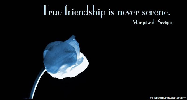 True friendship is never serene- Friendship Quotes