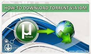 IDM Internet Download Manager 6.21 Build