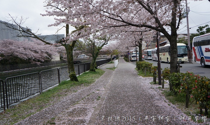 DSC03177