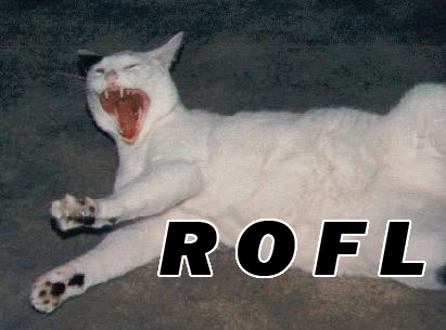 ROFLCAT Mockingbird