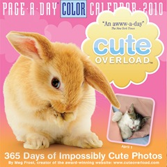 cuteoverload