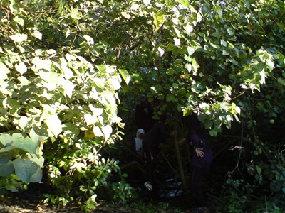 DSC00220